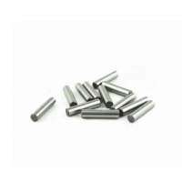 Pin Besi Dowel 3mm Panjang 14mm Bearing Steel Pin Locating Pin Needle