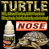 TURTLE NOSE MENGOBATI PENYAKIT INFEKSI PERNAPASAN KURA-KURA AIR PILEK HIDUNG BERBUIH BERAIR BERLENDI