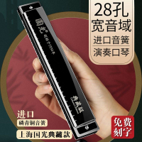 德國進口音簧國光28孔口琴重音復音C調高端成人初學專業演奏級