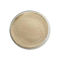 High Activity Alpha Amylase Enzyme Powder Alpha Amylase Fungal