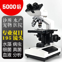 高清-電子顯微鏡5000倍高清光學雙目顯微鏡專業生物電子看精子水產養殖螨蟲醫院