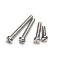 M2x(3 4 5 6 8 10 12 14 16 18 20mm Length) Slotted screws Cylindrical head screw one font slot bolt 304 stainless steel