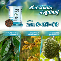 ปุ๋ยเร่งดอก ปุ๋ยเคมี ไมนัส 8-16-16 สะสมอาหาร ช่วงเตรียมดอกและติดผล ดอกดก ขั้วเหนียว ทรงสวย ผลและหัวใ