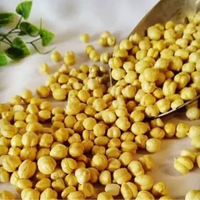 kacang arab 1kg/ kacang arab original/ kacang arab keju 1 Kg