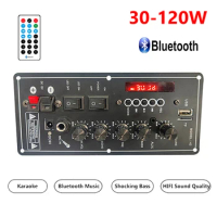 30-120W Audio Amplifier Board USB Dac FM Radio Support Dual Microphone Bluetooth Amplificatore Subwoof for Speaker 12V 24V 220V