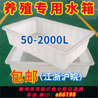 【台灣公司 可開發票】大號加厚牛筋塑料水箱長方形儲水桶水產養殖方桶養魚賣魚牛筋淺盆