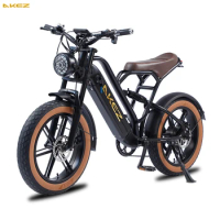 AKEZ Electric Mountain Bike 20"x4" Fat Tire Full Suspension LCD Adult Electric Bicycle 750W Motor 48V 13AH Removable Battery