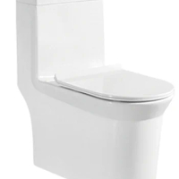 Standard Water Closet One Piece Toilet Closetool Floor Mounted Dual-Flush Toilet commode floor mounted one piece ceramic s-trap