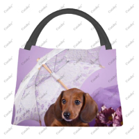 dachshund animal Portable Aluminum Film Thermal Insulation Refrigerated Lunch Bag Travel Thermal Insulation Portable Lunch Bag