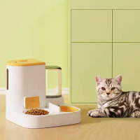 Cat Bowl Automatic Feeder With Water Dispenser Stainless Steel Cat Bowl Ceramic Pet Food Water Bowl For Dog Food Container Drink