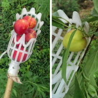 Sekop Pemetik Buah Garden Fruit Picker Tool