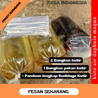 Paket  Kutu Air Daphnia Magna – Pakan Ikan Alami Lengkap + Panduan