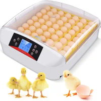 Mini Chicken Egg Incubator Intelligent Control Automatic Egg Incubator For Duck Goose Bird Egg