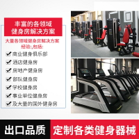 健身房有氧器材跑步機橢圓機樓梯機立臥式單車滑雪風阻水阻劃船機