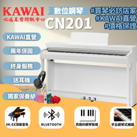 KAWAI CN201