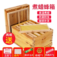 蜂箱 養蜂箱 蜜蜂箱 蜂箱全套蜜蜂箱中蜂養蜂箱七框十框杉木煮蠟峰箱蜂具專用養蜂工具『cyd19047』