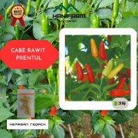 Benih Cabe Rawit Prentul (repack)