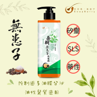 皂皂果 - 茶樹無患子洗髮精 500mL