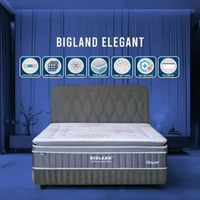 bigland springbed elegant / bigland elegant satu set / set bigland elegant 180 x 200