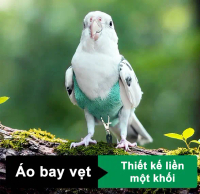 Dây dắt kèm dây đeo cho chim cánh cụt; bộ tập bay cho chim cánh cụt, cặp đôi chim, chim cánh cụt nhỏ