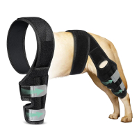 Breathable dog leg protector, anti-bite dog leg knee ligament strain protection sleeve/4.21A
