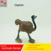 Hot toys:Ostrich simulation model Animals kids toys children educational props