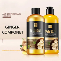 Ginger Hair Shampoo Oil Control Moisturizing Nourishing E Condicionador Softening Repair Hair Shampoo