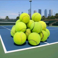 BOLA KASTI / BOLA TENIS LAPANGAN / BOLA TENIS MURAH / BOLA KASTI MURAH
