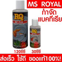 *ค่าส่งถูก* RQ BIO PLUS 120 ml.(แบคทีเรียย่อยสลายของเสีย เศษอาหารตกค้าง ทำให้น้ำใสสะอาด)