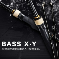 達億瓦BASS X Y路亞竿槍柄直柄遠投竿翹嘴鱸魚鱖魚馬口微物竿單竿