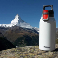 【SIGG】瑞士百年SIGG H&amp;C 彈蓋 不銹鋼保溫杯 300ml - 純雪(SIHCO308)(保溫瓶)
