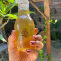 Kombucha Greentea Kombucha Blacktea Kombucha Rosella Kombucha Bunga Telang minuman fermentasi keseha