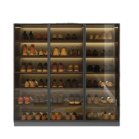 Modern Glass Display Shoe Rack Lamp Shoe Cabinets Large Capacity Transparent Shoe Box Organizer Living Room