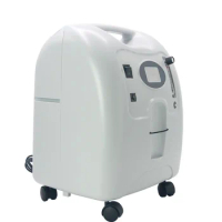 Veterinary medicine anesthesia equipment oxygen pet breathing concentrator 90% 10l