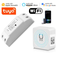 Tuya Smart Life Homekit Wifi Light Mini Switch Voice Remote App Control Relay Breaker Work with Apple Home Kit Alexa Google Home