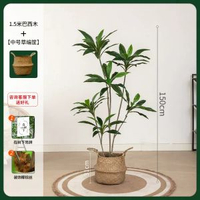 模擬綠植物盆栽天鵝絨巴西木高階輕奢北歐風室內客廳落地裝飾擺件