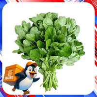 Bayam Bobor Urap / Bayam Potong Segar – 1 Ikat