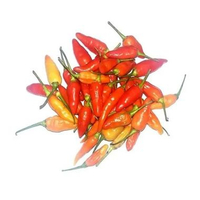 Cabe Rawit Merah / Cabe Rawit / Cabe Merah / Cabe Rawit Merah Murah