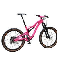 Customized full shockingproof carbon fibre frame 29er Mtb bicycle pink adults 19'' mountain suspension bike
