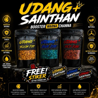 udang+ Blue, Yellow, Red SaintHan untuk ikan Channa Blue Pulchra, Maru, Auranti, Ys, Andrao, Stewart