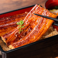 日式古法蒲燒外銷級鰻魚嚐鮮組