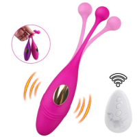 Wireless Remote Vibrating Vaginal Ball G Spot Clitoris Stimulator Silicone Dildo Vibrators Panties Adult Sex Toy For Women