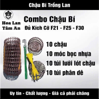 Combo 10 Chậu Bí F21 F25 F30 F35 10 Móc 70cm 10 Lưới 10 Túi Phân Dê Chất Lượng Cao