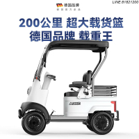 電動車 四輪車 三輪車 代步車 老年代步車 客貨兩用車 免運 開立發票 老年人電動四輪車殘疾人觀光接送小孩鋰電池成人代步封閉式電瓶車