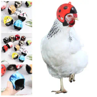 Light Pet Supplies ABS Funny Chicken Helmet Bird Protect Cap Pet Protective Headgear Sun Rain Protection Hats