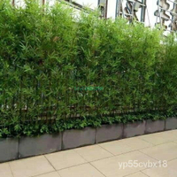 仿真竹子室內裝飾屏風隔斷人造塑料假竹子酒店商場室外造景植物墻【10根起賣】