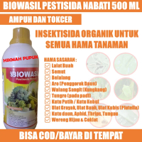 BIOWASIL Pupuk HAMA ULAT BAWANG DAUN, & BAWANG MERAH, CABE, JAGUNG Obat Hama Ulat Bawang Daun, Palin