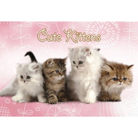 HC - 台灣製寵物拼圖300片 - Cute Kitten 300S-006