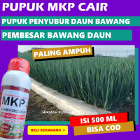 PUPUK PENCEGAH RONTOK BAWANG DAUN Obat Semprot Cair Daun Bawang, Bawang Merah, Singkong, Jagung, Bay