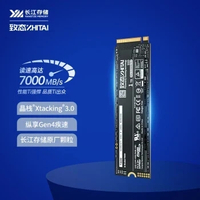 ZhiTai 致態 長江存儲 Ti600 1TB PCIe 4.0 x 4, NVMe 2.0 M.2 SSD